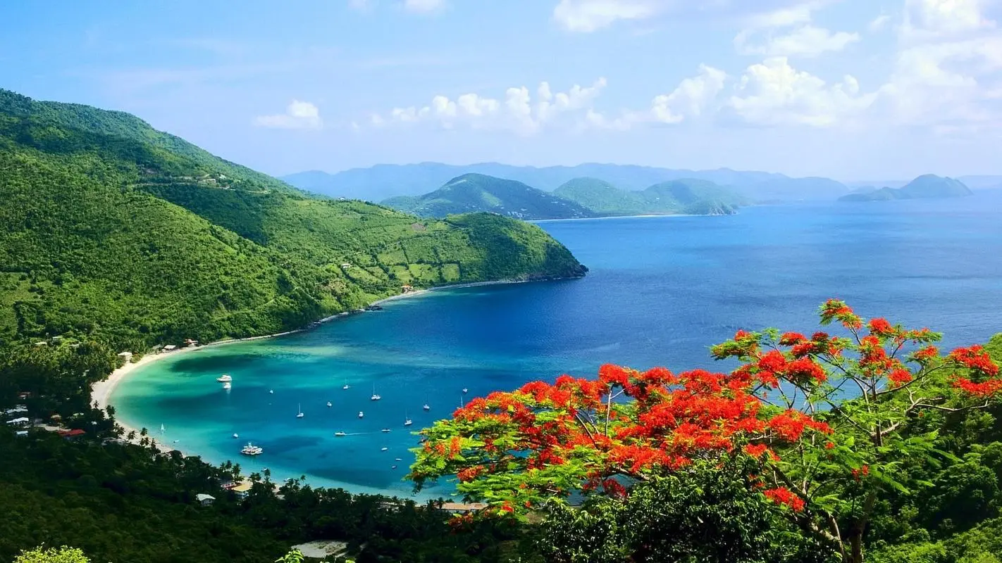 精密创意